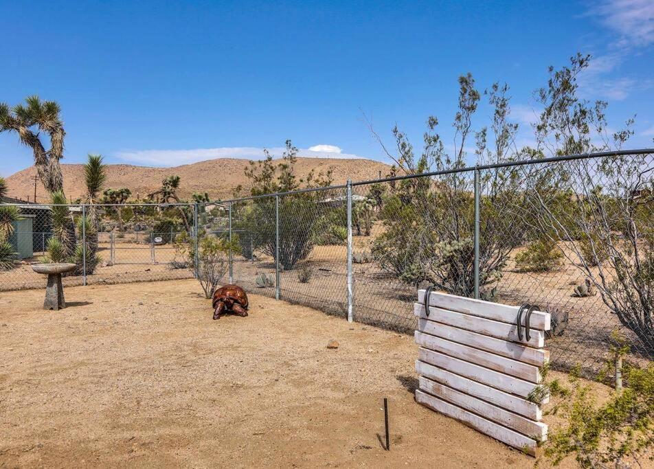 Jt Cottage Yucca Valley Ngoại thất bức ảnh