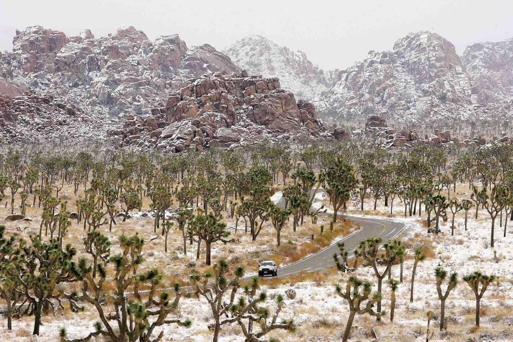Jt Cottage Yucca Valley Ngoại thất bức ảnh
